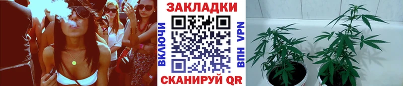 Купить наркотики Белогорск СОЛЬ  Мефедрон  Cocaine  Экстази  МАРИХУАНА  ГАШИШ 