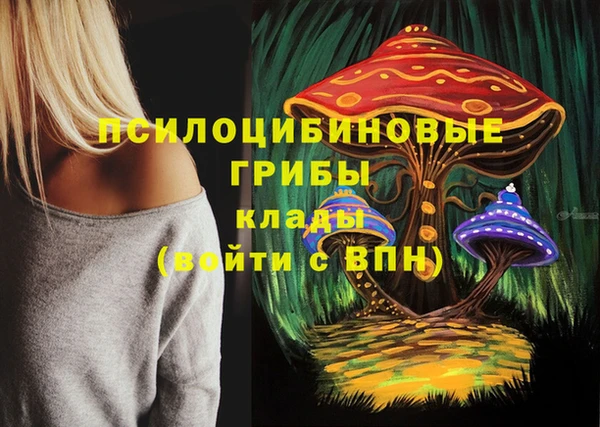 мескалин Арсеньев
